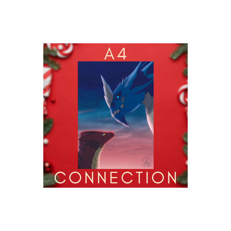 A4 Print Dragon - Connection