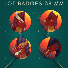 Lot Badges Dragon 38mm