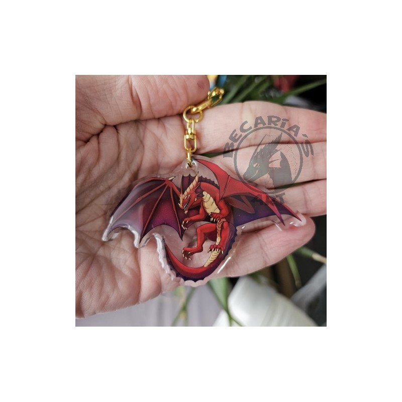 Lot Porte-clés Dragon