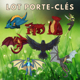 Lot Porte-clés Dragon