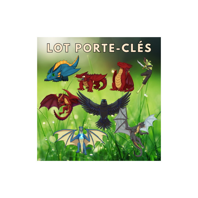 Lot Porte-clés Dragon