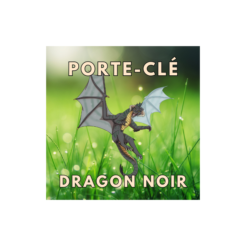 Porte-clé Dragon Noir