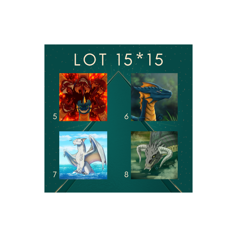 Lot Illustrations Carré Dragons