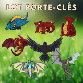 Lot Porte-clés Dragon